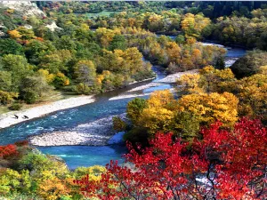 Qiaxi Forest Park