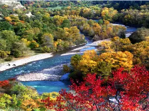 Qiaxi Forest Park