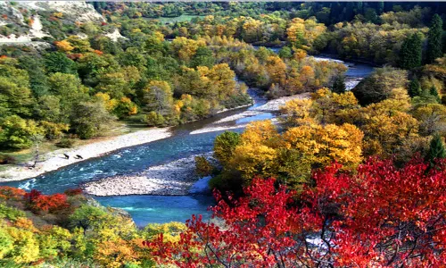 Qiaxi Forest Park