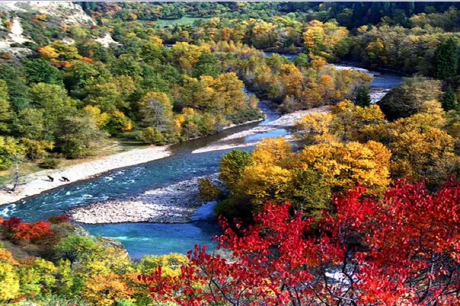 Qiaxi Forest Park