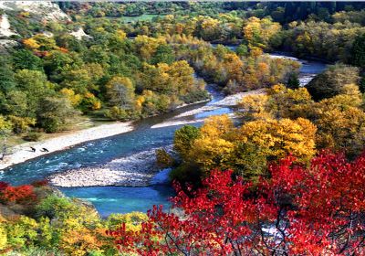 Qiaxi Forest Park