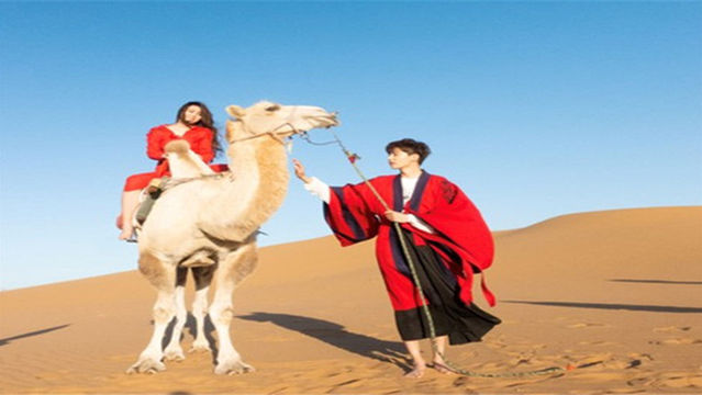 Camel Riding