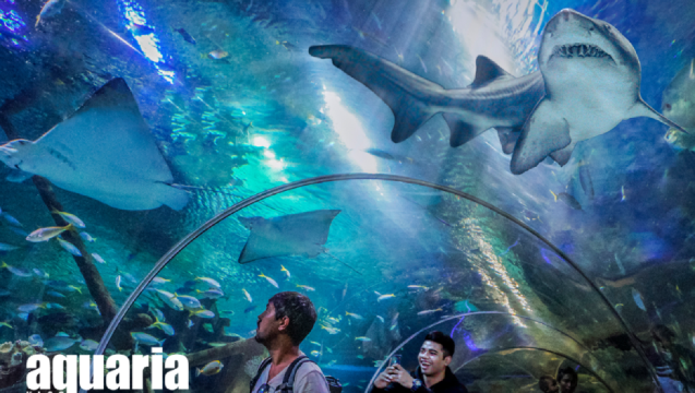 Aquaria Klcc Admission Ticket Qr Code Direct Entry Trip Com