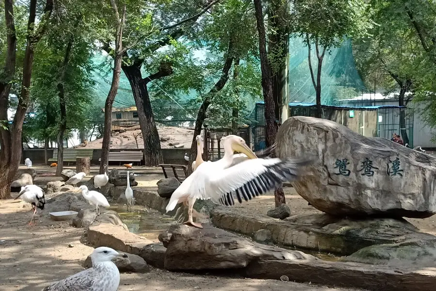 哈爾濱鳥語林動物園