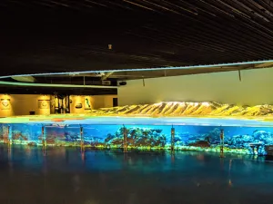 Dali Ocean World