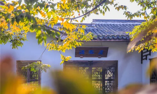 Plum Garden