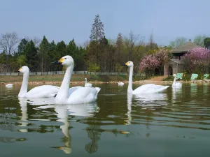 Poyang Lake National Wetland Park