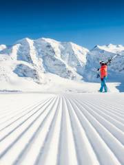 芝山森林度假村滑雪場