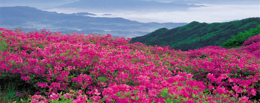 Xitai Mountain