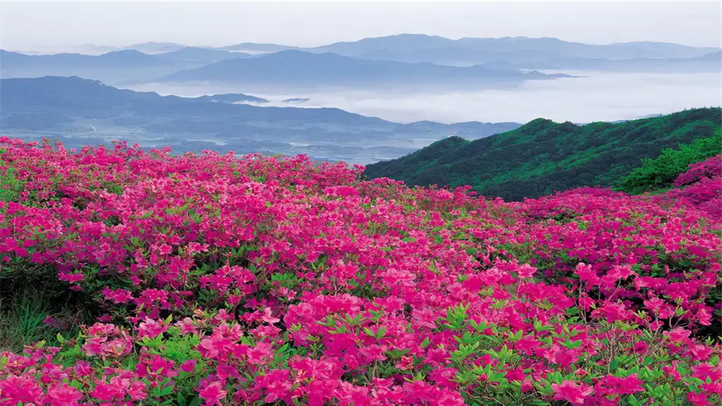 Hotels near Xitai Mountain