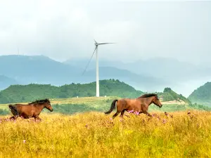 용리 유화 대초원