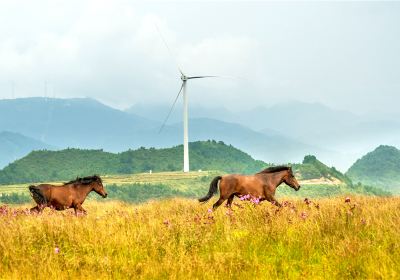 용리 유화 대초원