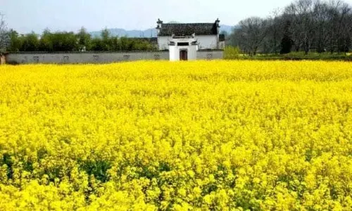 Zhaji Ancient Village Senic Area