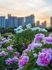 Sui and Tang Dynasty Town Botanic Gardens