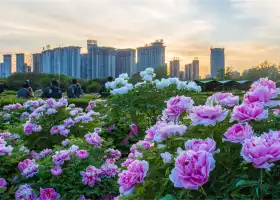 Sui and Tang Dynasty Town Botanic Gardens