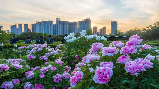 隋唐城遺址植物園