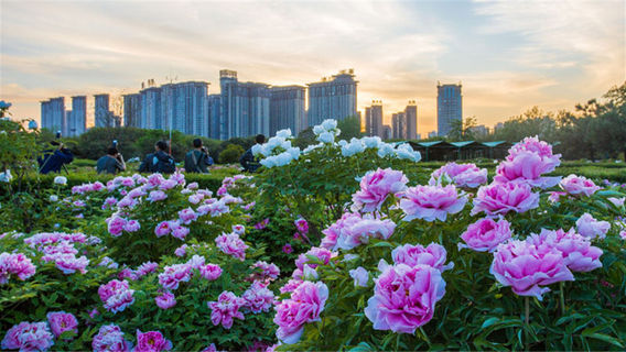Lạc Dương