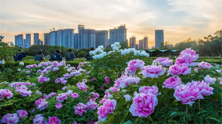 Hotels near Sui and Tang Dynasty Town Botanic Gardens