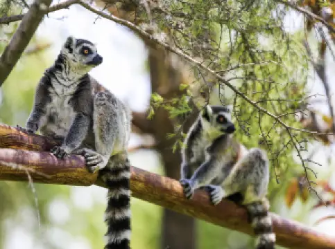 Linyi Zoological Botanical Garden