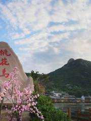 Taohuayu Scenic Area (Peach Blossum Valley Scenic Area)