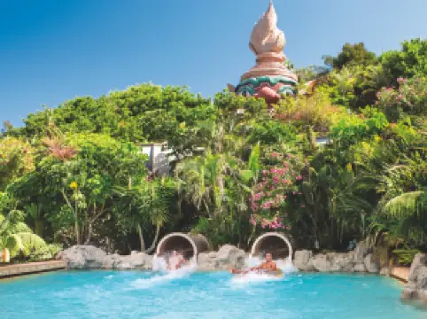 Attrazioni Imperdibili a Adeje: le opzioni più popolari