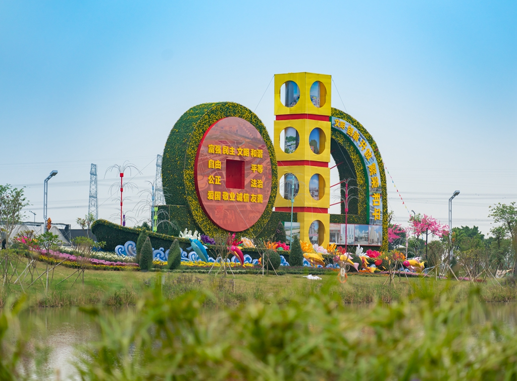 小欖菊花展示会 | 中山