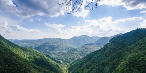 徐鳧巖