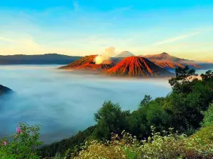 Bromo Tour Package: Midnight Bromo Open Trip from Batu