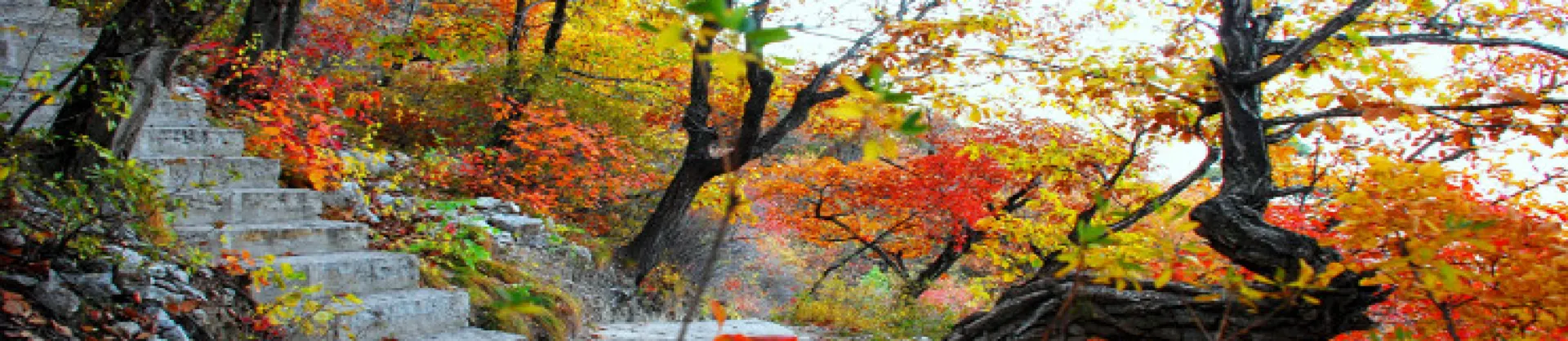 Fall Viewing Attractions