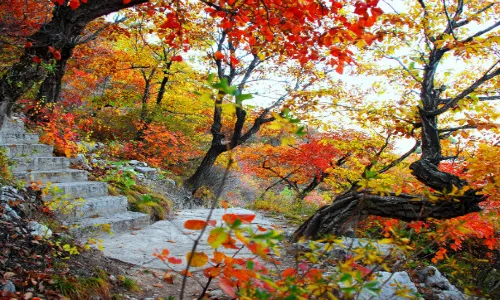 Xiantang Mountain