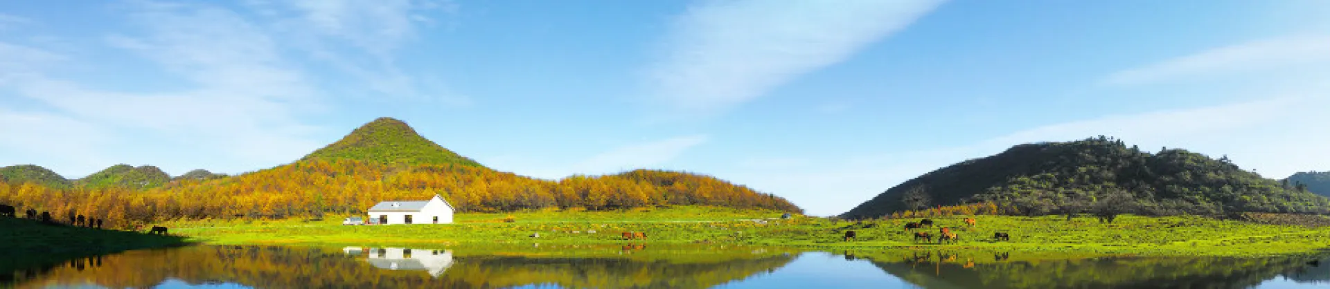 Attrazioni per la visione autunnale