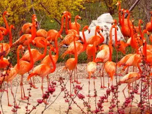 Dalian Forest Zoo