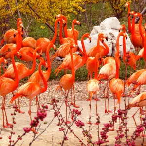 Dalian Forest Zoo