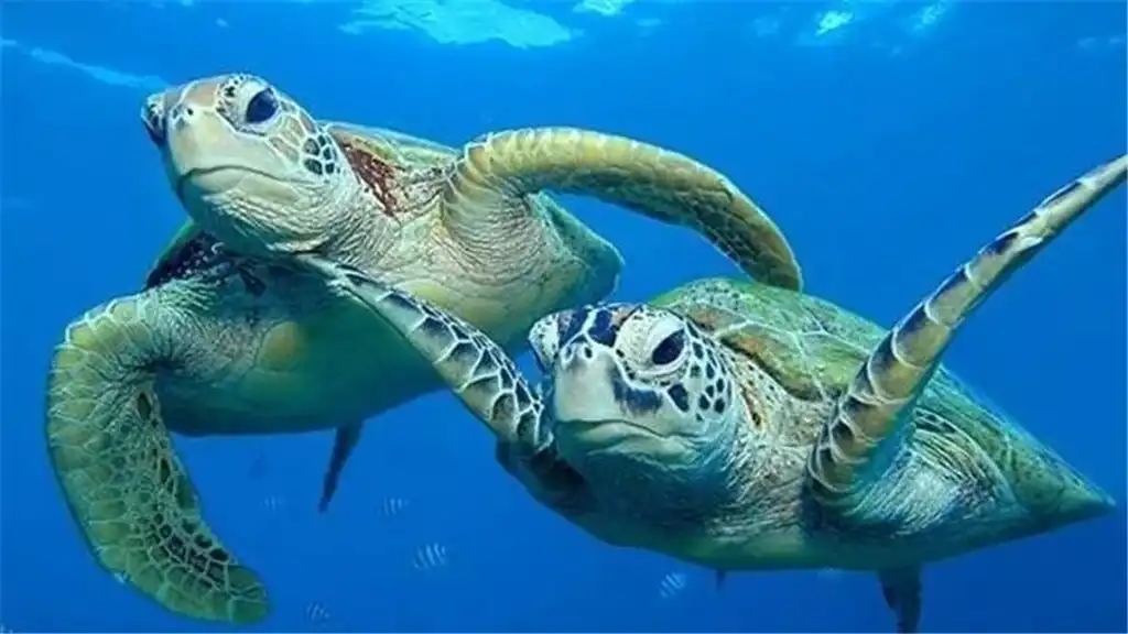 Các khách sạn gần Nantong Sea World