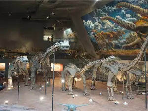 Chongqing Museum of Natural History  (New Hall)