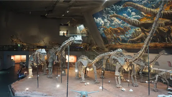 Chongqing Museum of Natural History  (New Hall)