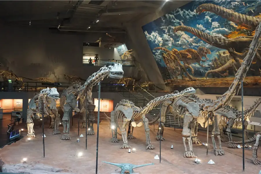 Chongqing Museum of Natural History  (New Hall)