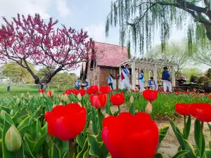 Garden of World's Flowers