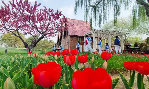 Garden of World's Flowers