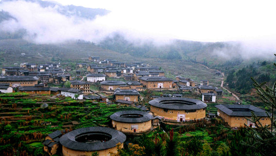 LongyanTours