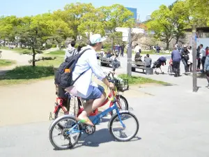 Osaka Local Cycling