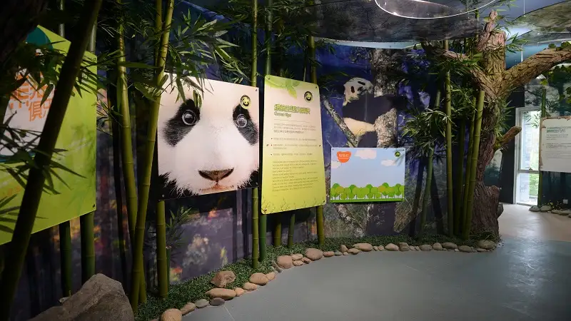 5_Dujiangyan China Giant Panda Garden (formerly known as Panda Paradise)