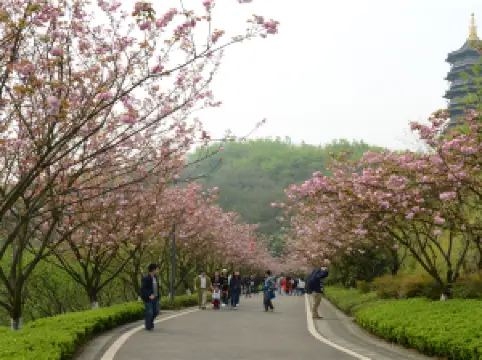 สวนสาธารณะและนิทรรศการของฉงชิ่ง