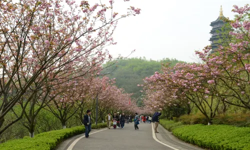 Chongqing Garden Expo Park