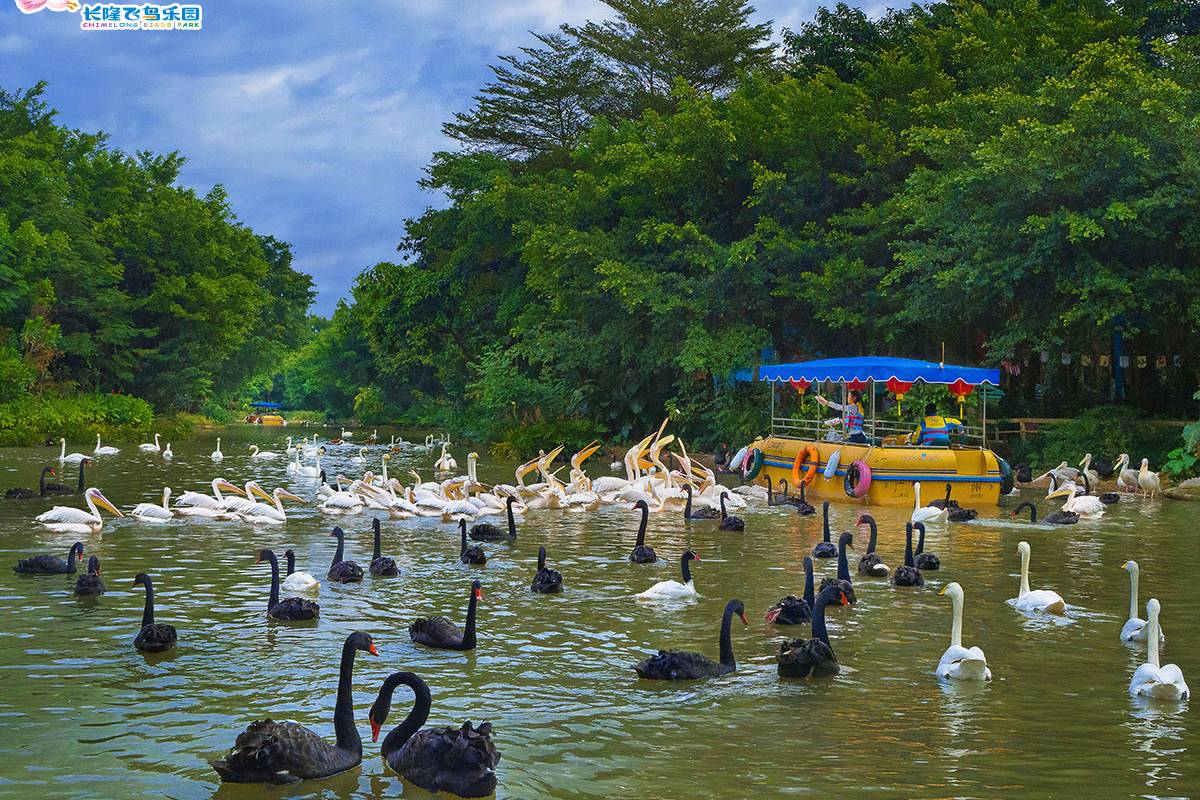 สวนนกฉางหลง