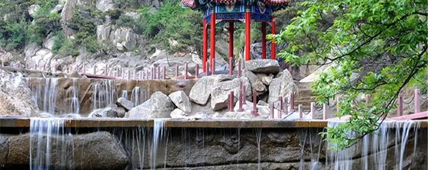 青島茶山