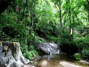 和睦森林公園