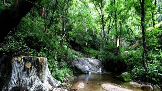 和睦森林公園