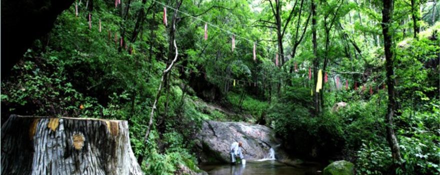 Hemu Forest Park