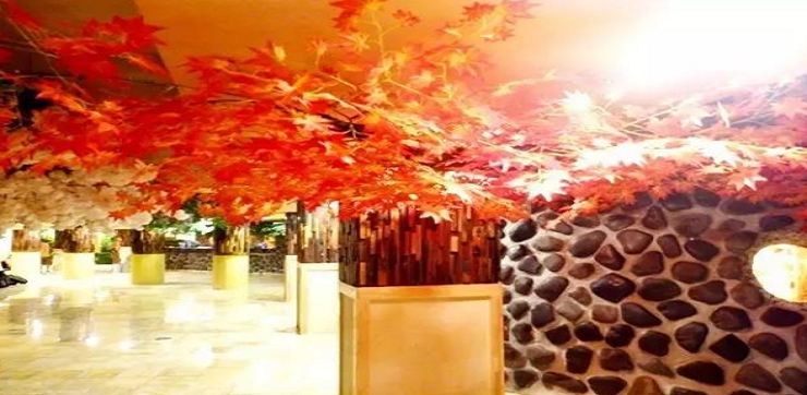 Baobai Shopping Plaza/Beiguo Future Mall
